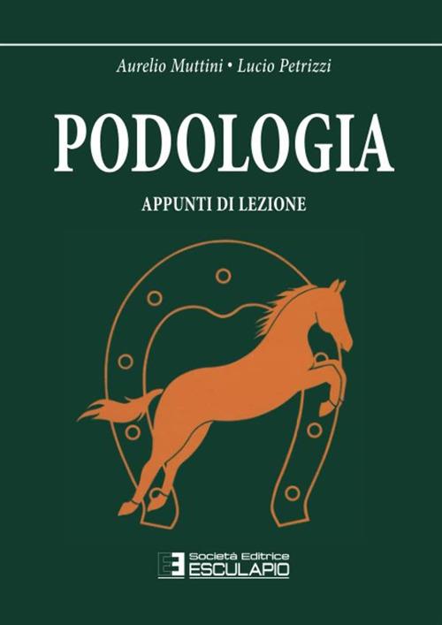 Podologia. Appunti di lezione - Aurelio Muttini,Lucio Petrizzi - copertina