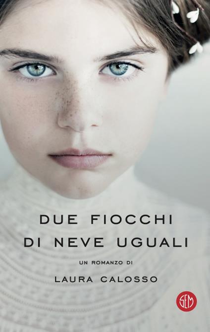 Due fiocchi di neve uguali - Laura Calosso - ebook