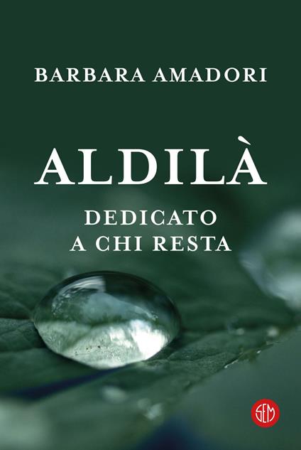 Aldilà. Dedicato a chi resta - Barbara Amadori - ebook