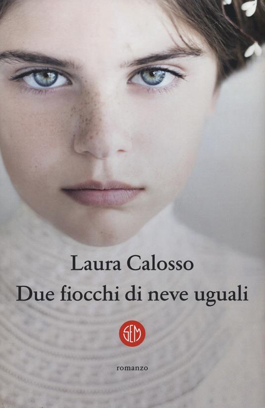 Due fiocchi di neve uguali - Laura Calosso - copertina