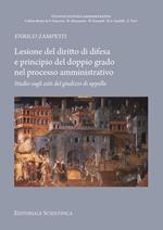 Lesione del diritto di difesa e principio del doppio grado nel processo amministrativo. Studio sugli esiti del giudizio di appello