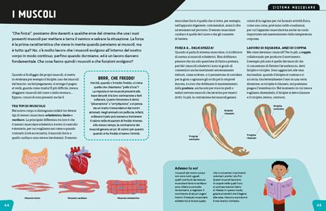 Corpo umano. Adesso lo so! - Anna Romano - 5