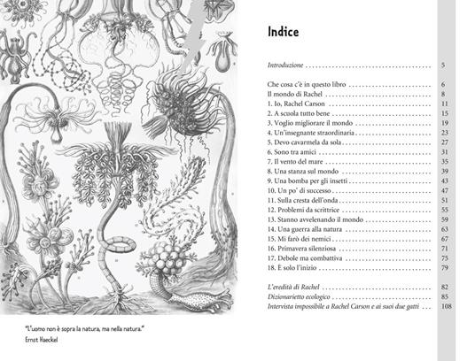 Rachel Carson e la primavera dell'ecologia - Luca Novelli - 7