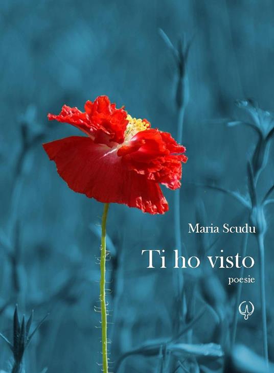 Ti ho visto - Maria Scudu - copertina