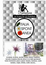 Italia spontanea. La natura, la storia, vecchie ricette, misteri, tradizioni, racconti, le piante viste da vicino in un'Italia spontanea!. Vol. 1