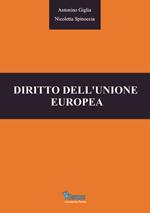 Diritto dell'Unione europea