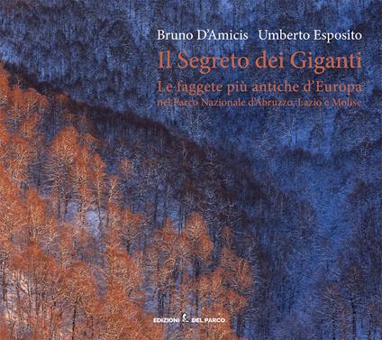 Il segreto dei giganti. Le faggete più antiche d'Europa nel Parco Nazionale d'Abruzzo, Lazio e Molise. Ediz. italiana e inglese - Bruno D'Amicis,Umberto Esposito - copertina