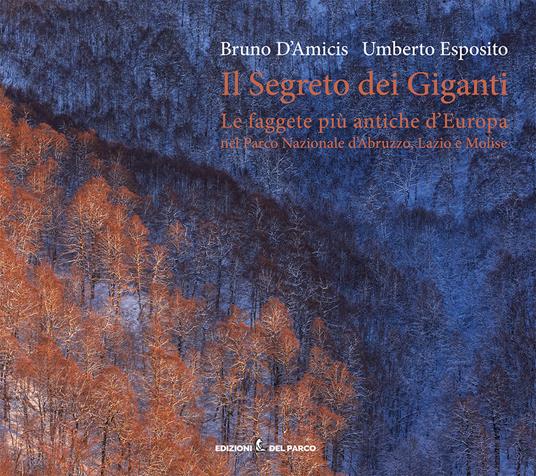 Il segreto dei giganti. Le faggete più antiche d'Europa nel Parco Nazionale d'Abruzzo, Lazio e Molise. Ediz. italiana e inglese - Bruno D'Amicis,Umberto Esposito - copertina