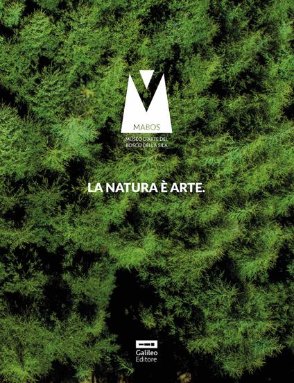 Il catalogo del Mabos. La natura è arte. Ediz. illustrata - Angelo Gallo - copertina