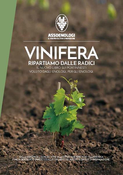 Vinifera. Ripartiamo dalle radici. Il nuovo libro sui portinnesti voluto dagli enologi, per gli enologi. Dalle origini del genere vitis alla ricostruzione post fillosserica fino ai nuovi portinnesti ed allo sviluppo di nuove tecniche di propagazione - copertina