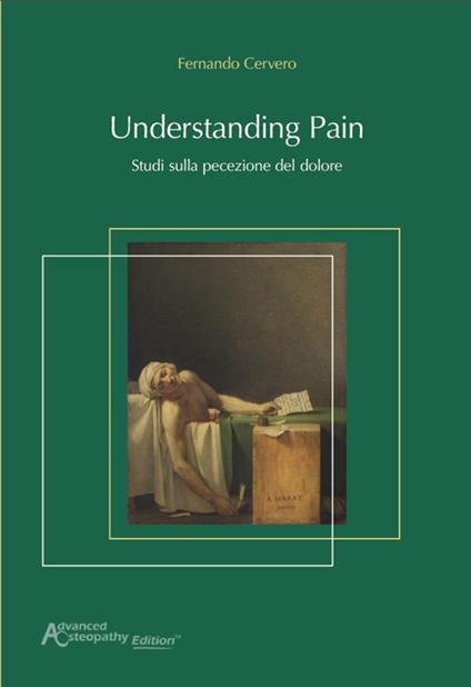 Understanding pain. Studi sulla percezione del dolore - Fernando Cervero - copertina