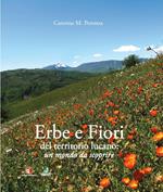 Erbe e fiori del territorio lucano. Un mondo da scoprire. Ediz. illustrata