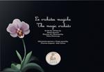 Le orchidee magiche-The magic orchids. Ediz. bilingue