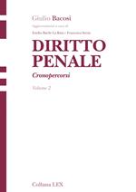 Diritto penale. Cronopercorsi. Vol. 2