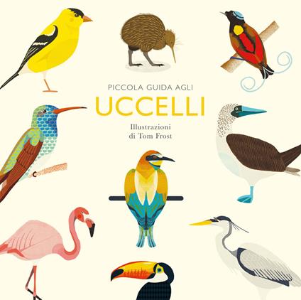 Piccola guida agli uccelli. Ediz. illustrata - Alison Davies - copertina