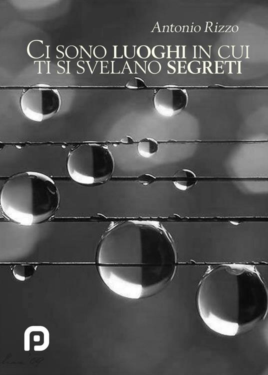 Ci sono luoghi in cui ti si svelano segreti - Antonio Rizzo - copertina