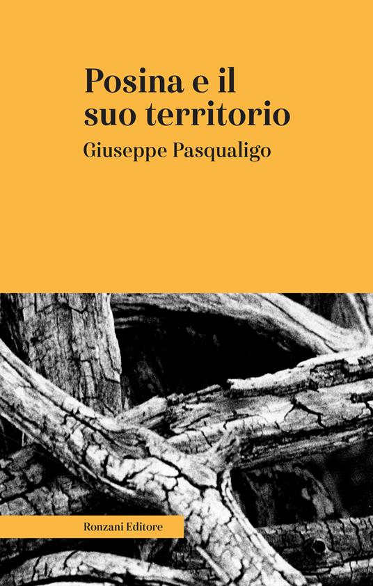 Posina e il suo territorio. Nei rapporti fisio-medico-storico-statistici. Ediz. integrale - Giuseppe Pasqualigo - copertina