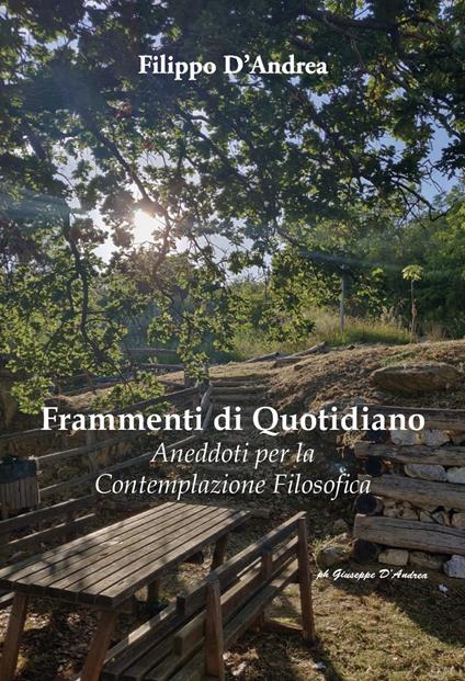 Frammenti di quotidiano. Aneddoti per la contemplazione filosofica - Filippo D'Andrea - copertina