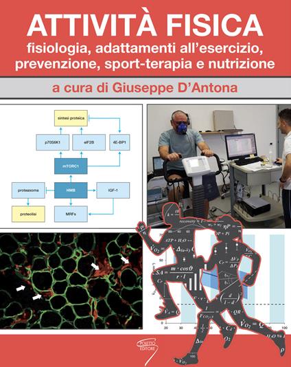 Attività fisica. Fisiologia, adattamenti all'esercizio, prevenzione, sport-terapia e nutrizione. Con Contenuto digitale per download e accesso on line - copertina