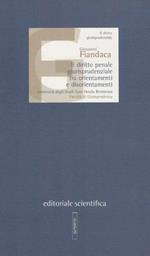 Il diritto penale giurisprudenziale tra orientamenti e disorientamenti