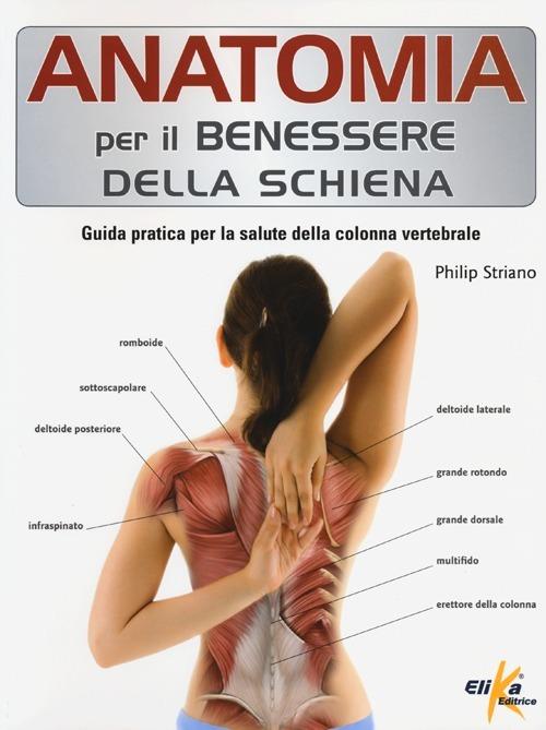 Anatomia umana che mostra muscoli profondi nel collo e nella parte  superiore della schiena. Poster