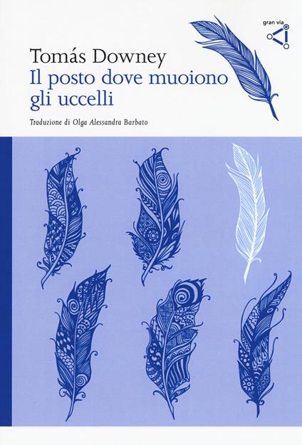 Il posto dove muoiono gli uccelli - Tomás Downey - copertina