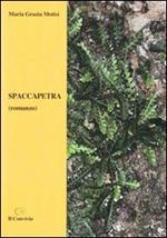 Spaccapetra