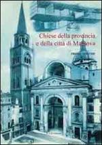 Chiese della provincia e della città di Mantova