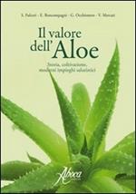 Il valore dell'aloe. Storia, coltivazione, moderni rimedi salutistici