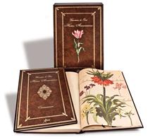 Hortus amoenissimus di Franciscus De Geest. Ediz. illustrata