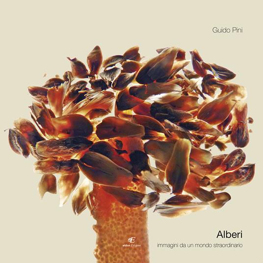 Alberi. Immagini da un mondo straordinario - Guido Pini - copertina