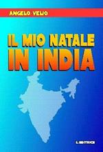 Il mio Natale in India. Diario di un geometra diventato casualmente quasi «ingegnere»