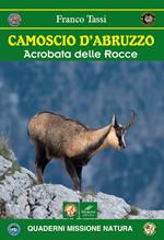 Camoscio d'Abruzzo. Acrobata delle rocce