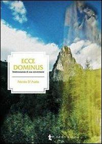 Ecce dominus. Testimonianza di una conversione - Nicola D'Auria - copertina