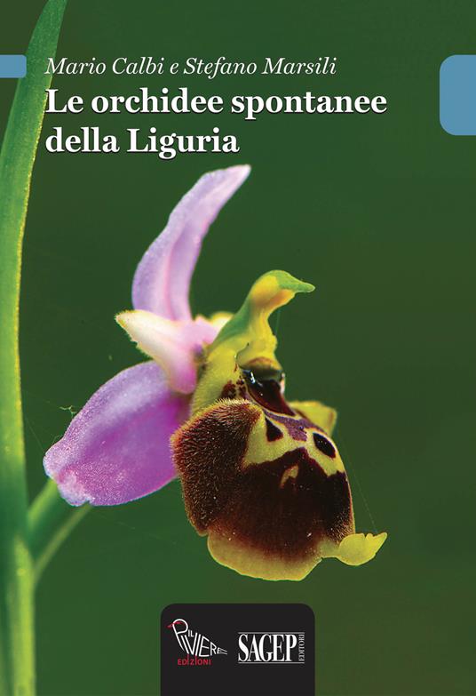 Le orchidee spontanee della Liguria - Mario Calbi,Stefano Marsili - copertina