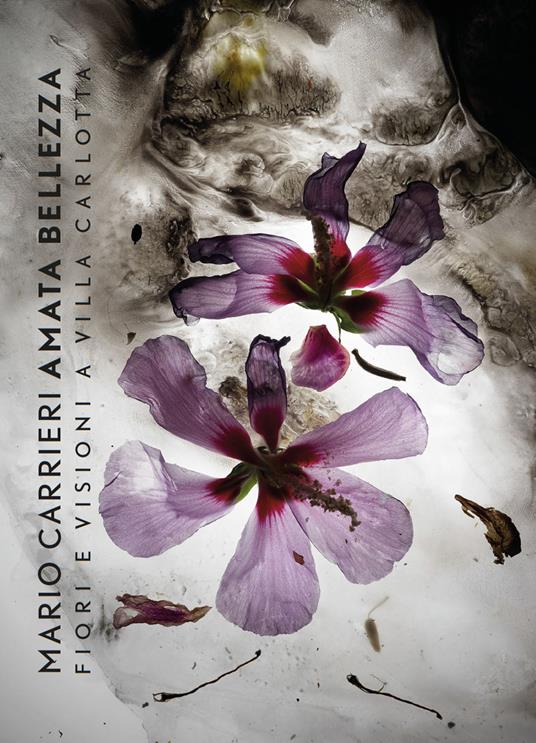 Mario Carrieri. Amata bellezza. Fiori e visioni a Villa Carlotta. Ediz. italiana e inglese - Paolo Vanoli,Giovanni Chiaramonte,M. Angela Previtera - copertina