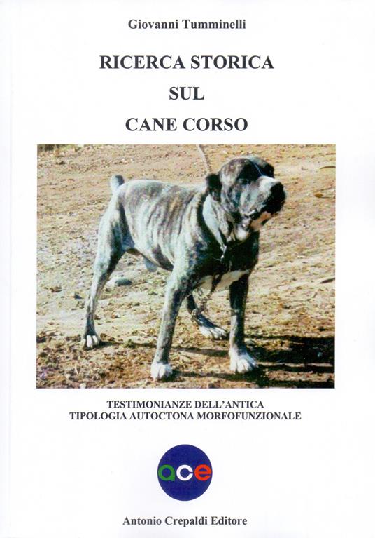 Ricerca storica sul cane corso. Testimonianze dell'antica tipologia autoctona morfofunzionale. Ediz. illustrata - Giovanni Tumminelli - copertina