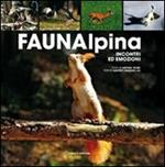 Fauna alpina. Incontri ed emozioni. Ediz. illustrata
