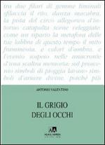 Il grigio degli occhi