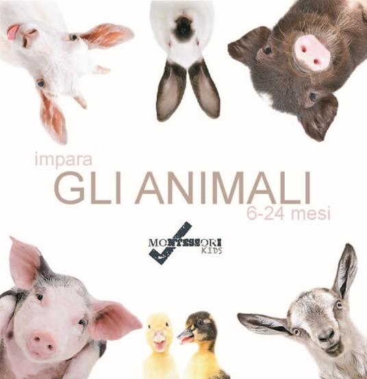 Impara gli animali. Ediz. illustrata - copertina