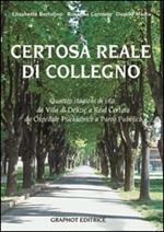 La reale certosa di Collegno