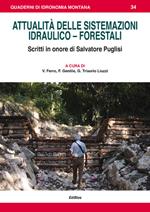 Attualità delle sistemazioni idraulico-forestali. Scritti in onore di Salvatore Puglisi