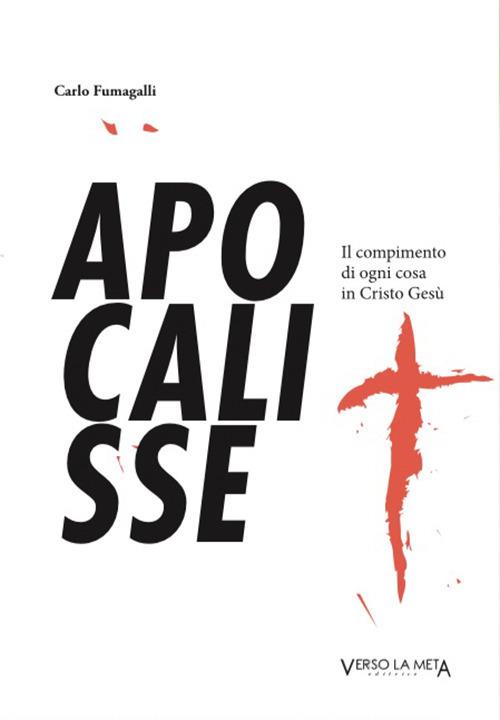 Apocalisse. Il compimento di ogni cosa in Cristo Gesù - Carla Fumagalli - copertina