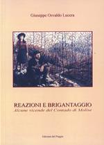 Reazioni e brigantaggio. Alcune vicende del contado di Molise