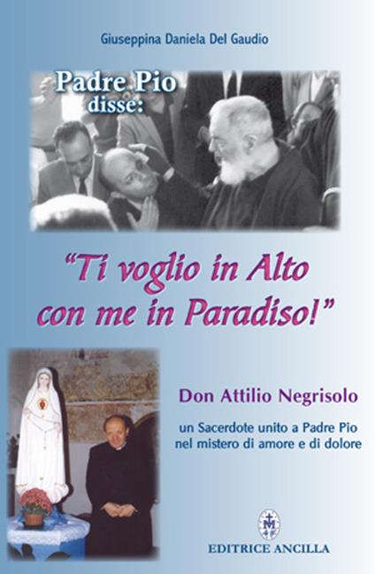 Padre Pio disse: «ti voglio in alto con me in paradiso!». Don Attilio Negrisolo, un sacerdote unito a padre Pio nel mistero di amore e di dolore - Giuseppina Daniela Del Gaudio - copertina