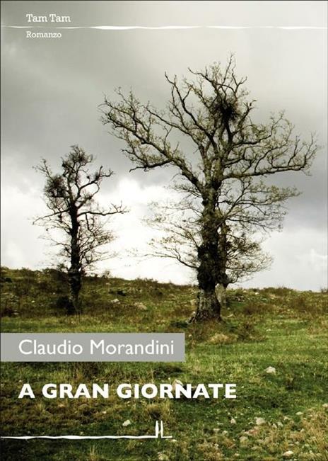 A gran giornate - Claudio Morandini - 2