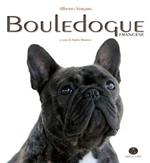 Bouledogue francese