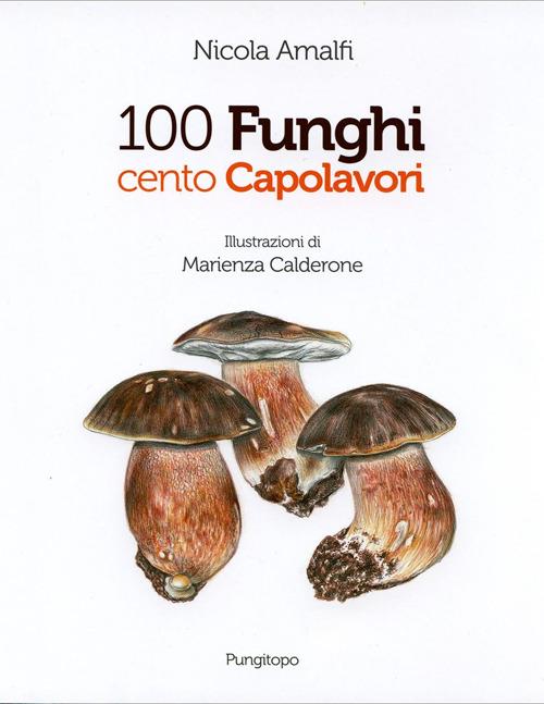 100 funghi cento capolavori - Nicola Amalfi - copertina