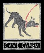 Cave canem. Polaroid lenticolare magnetica. Ediz. italiana e inglese