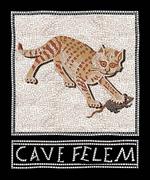 Cave felem. Polaroid lenticolare magnetica. Ediz. italiana e inglese